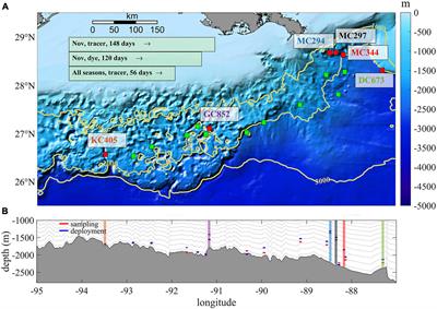 Kilometer-Scale Larval Dispersal Processes Predict Metapopulation Connectivity Pathways for Paramuricea biscaya in the Northern Gulf of Mexico